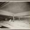 American Museum of Natural History, African Hall. Central Park West & 80th Street