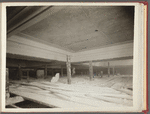 American Museum of Natural History, African Hall. Central Park West & 80th Street