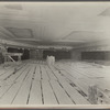 American Museum of Natural History, African Hall. Central Park West & 80th Street