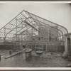 American Museum of Natural History, African Hall. Central Park West & 80th Street