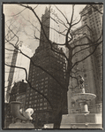 Central Park Plaza: Hotel Sherry-Netherland (center), Hotel Savoy Plaza (right), From 58th Street and Fifth Avenue