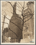 Central Park Plaza: Hotel Sherry-Netherland (center), Hotel Savoy Plaza (right), From 58th Street and Fifth Avenue