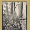 Theoline, Pier 11, East River