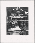 Chicken Market, 55 Hester Street