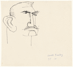Harold Rosenberg