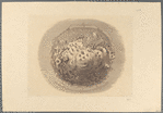 All the world going to see the Great Exhibition of 1851