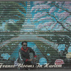 Postcard of artist Franco Blooms in Harlem