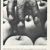 Leaflet announcing "Photographic Works by Shedrich Williames" exhibition at The Studio Museum in Harlem