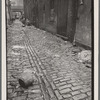 Charles Lane, Between West and Washington Streets