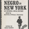 The Negro in New York