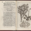 An account of several late voyages & discoveries to the Sovth and North