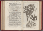 An account of several late voyages & discoveries to the Sovth and North