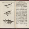 An account of several late voyages & discoveries to the Sovth and North