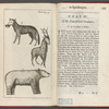 [Four-footed creatures]
