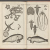 An account of several late voyages & discoveries to the Sovth and North