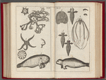 An account of several late voyages & discoveries to the Sovth and North