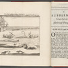 The whale fighting the killing...