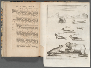 Description et histoire naturelle du Groenland