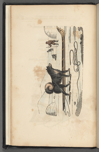 A Peep at the Esquimaux