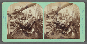 Nordpol Expedition von Graf Wilczek, Expèdition au Pôle nord par le Compte Wilczek