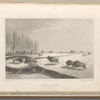 A Buffalo Pound