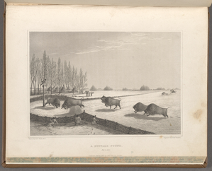 Narrative of a journey to the shores of the polar sea 