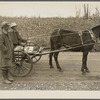 Farmers at Skyline Farms, Jackson County, Alabama