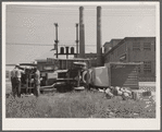 Packing company strike. Cambridge, Maryland
