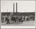 Packing company strike. Cambridge, Maryland