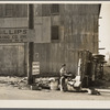 Packing company strike. Cambridge, Maryland