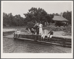 Scene in recreation area on land use project at Strawberry Point, Asawomen Bay, Delaware