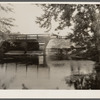 Dam at Trap Pond. Delaware land use project
