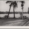 Picnic and recreational area Trap Pond. Delaware land use project
