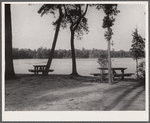 Picnic and recreational area Trap Pond. Delaware land use project