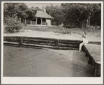 Scene at Strawberry Point on Asawomen Bay. Delaware land use project