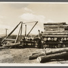 Logs at sawmill at Morrisville, Vermont