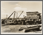 Logs at sawmill at Morrisville, Vermont