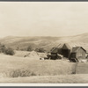 Threshing. Otsego County, New York