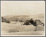 Threshing. Otsego County, New York