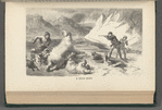 A Bear Hunt