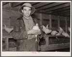 Client on farm tenancy project in his new chicken house. Tompkins County, New York