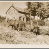 Ellery Shufelt cutting buckwheat, Land Use Project, Albany County, New York
