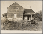 Abandoned farmhouse on submarginal land. Albany County, New York