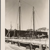 Fish drying on dock. Gloucester, Massachusetts