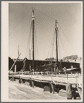 Fish drying on dock. Gloucester, Massachusetts