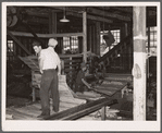 Veneer wood mill. Morrisville, Vermont