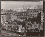 Slum dwellings near the Senate office building. Washington, D.C