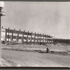 Row houses in the northeast section. Washington, D.C