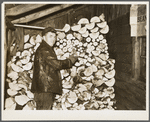 George Deacon in his woodshed. Oswego County, New York