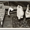 Meat in woodshed of Hugh Trumbull's farm. Oswego County, New York